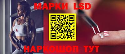 шишки Кимры