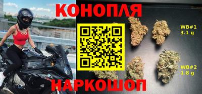 эйфоретик Кингисепп