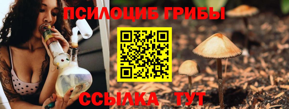 Псилоцибиновые грибы ЛСД  Псилоцибиновые грибы Cubensis  Касимов  Вход с VPN 